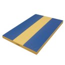 Gymnastics mat &laquo;Stripe&raquo; 100 (150, 200) x 100 x 8 cm