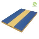 Gymnastics mat «Stripe» 100 (150, 200) x 100 x 8 cm
