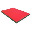 Gymnastics mat 140 x 100 x 8 cm Red/Green
